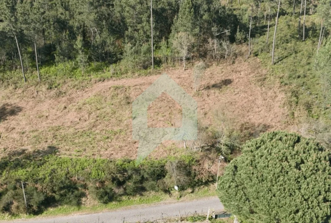 Terreno para Venda em Creixomil e Mariz Foto 9