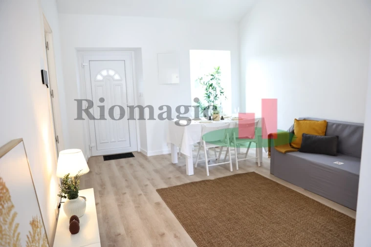 Moradia T2 para Venda em São João da Ribeira e Ribeira de São João Foto 8