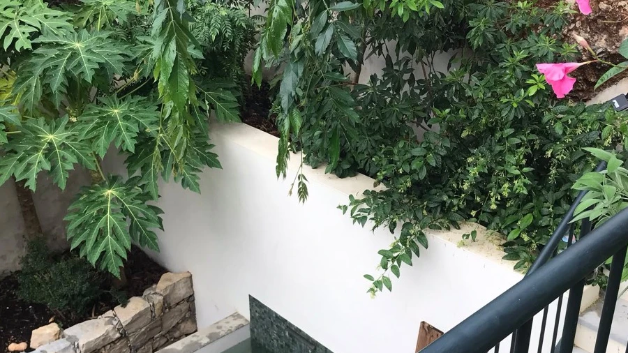 Moradia T4 para Venda em Tavira (Santa Maria e Santiago)