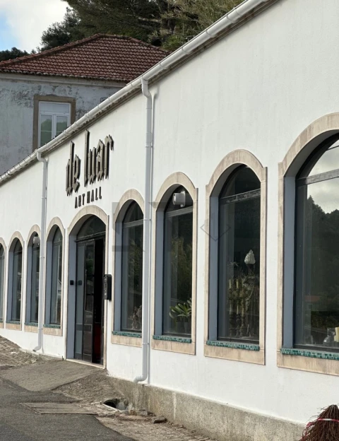Negócio para Venda em Santa Maria e São Miguel, São Martinho, São Pedro Penaferrim