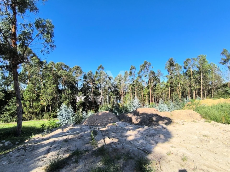 Terreno para Venda em Lanheses Foto 3