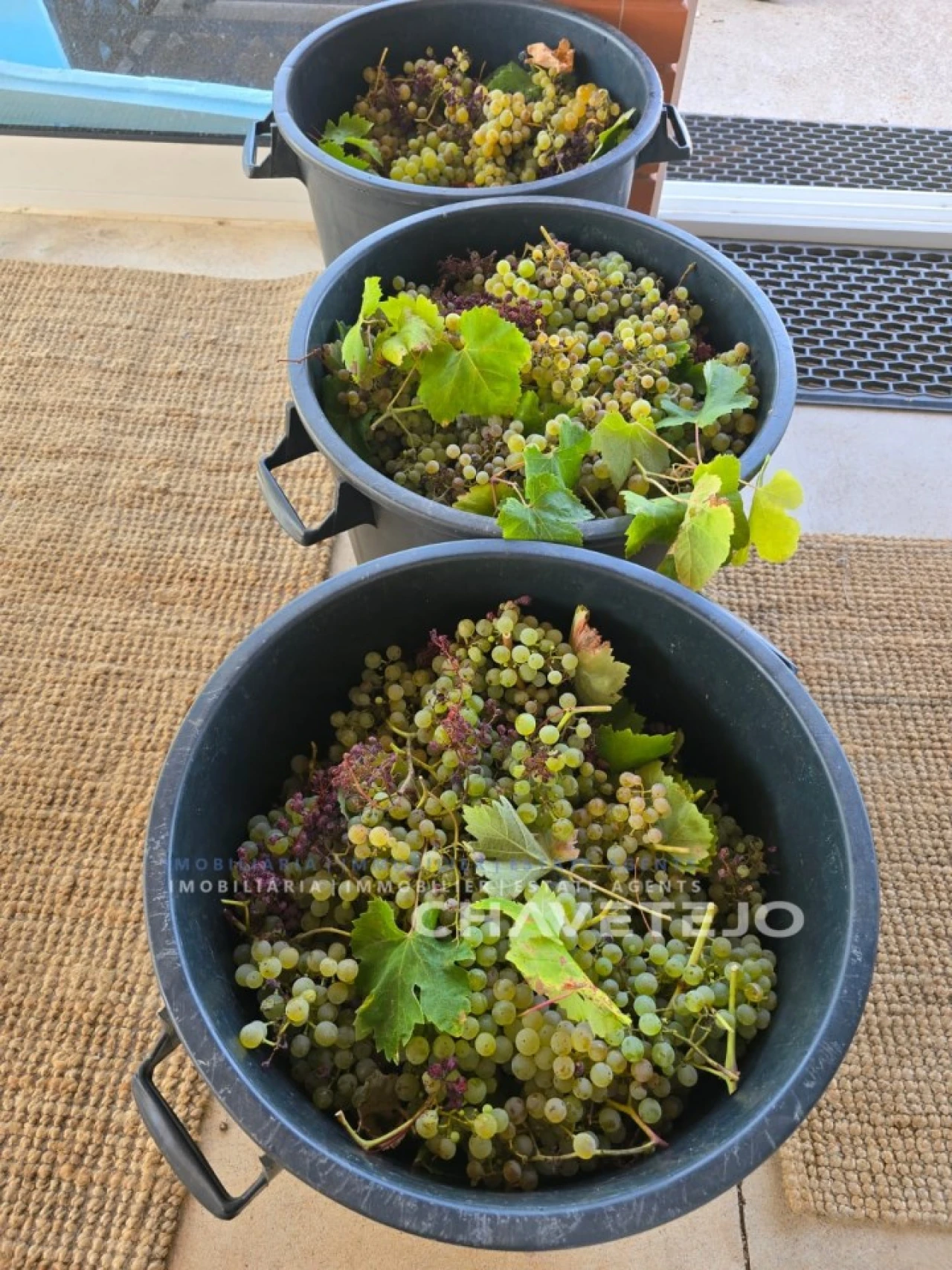 Moradia T3 para Venda em Almoster Foto 11