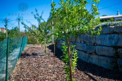 Moradia T5 para Venda em São Brás de Alportel