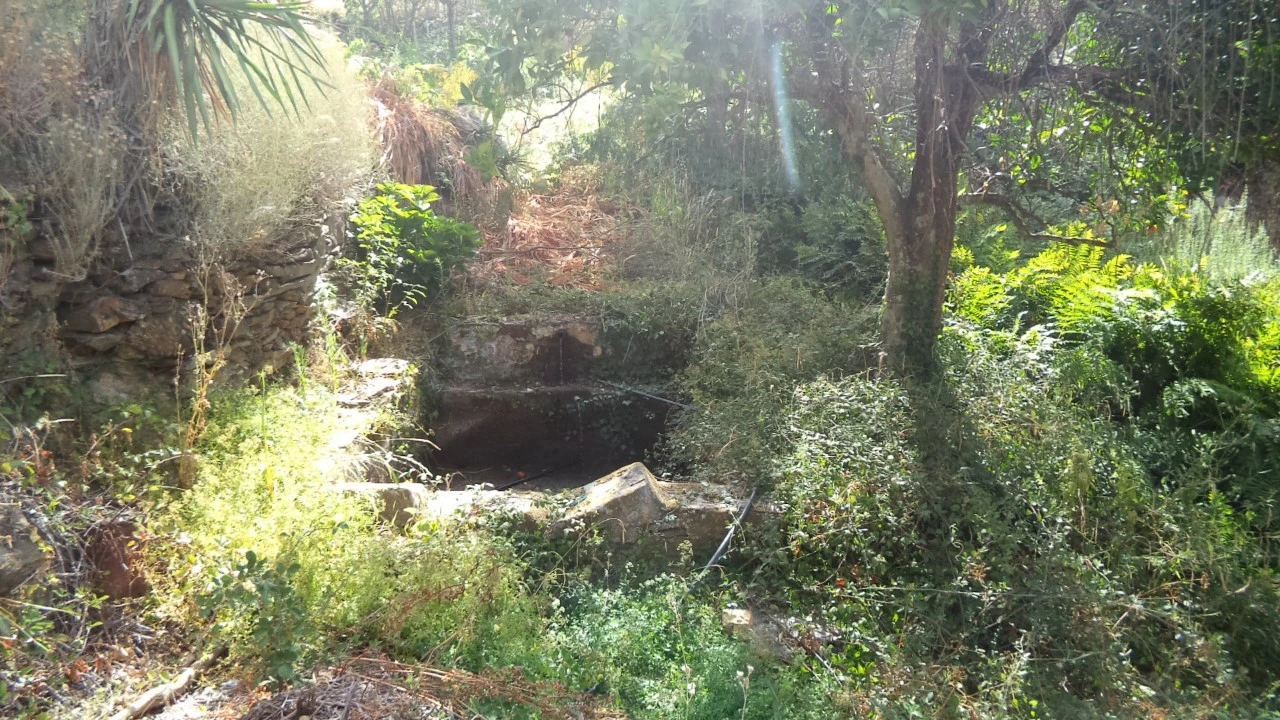 Moradia T2 para Venda em Alegrete Foto 4