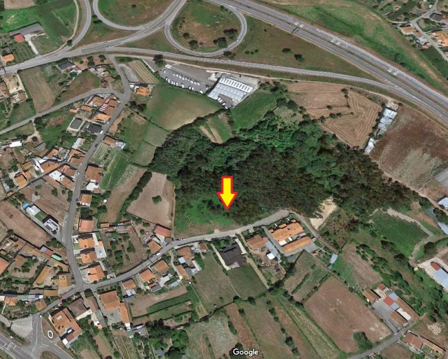Terreno para Venda em Angeja Foto 1