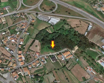 Terreno para Venda em Angeja