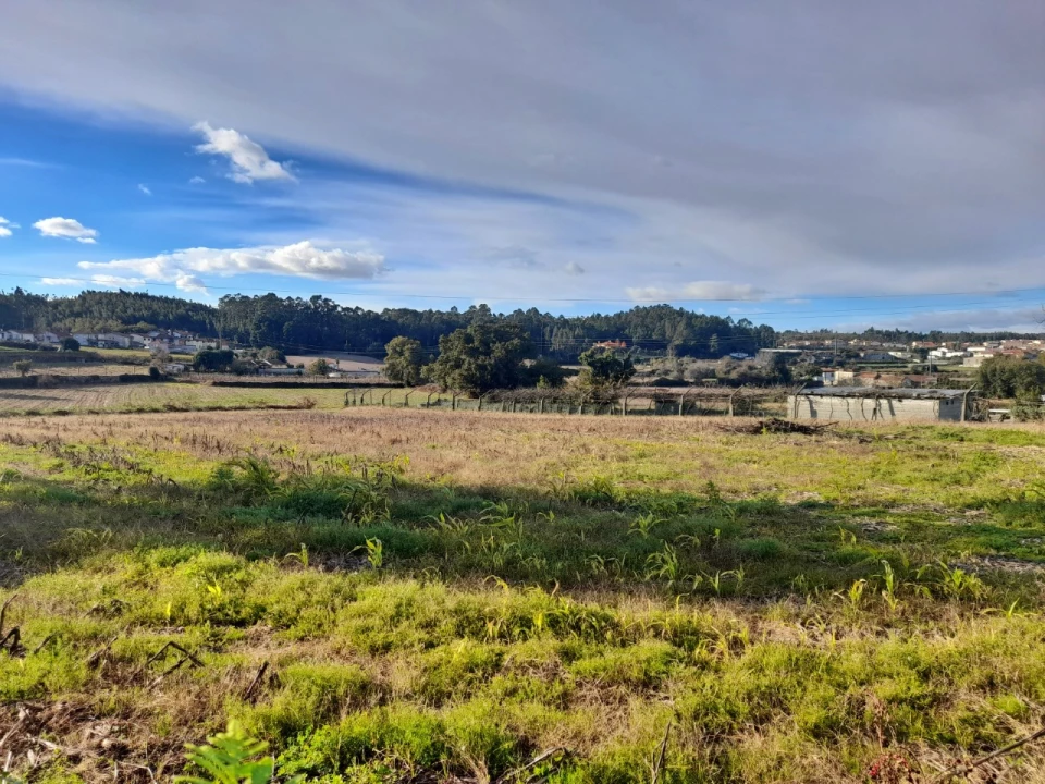 Moradia T3 para Venda em Coronado (São Romão e São Mamede) Foto 3