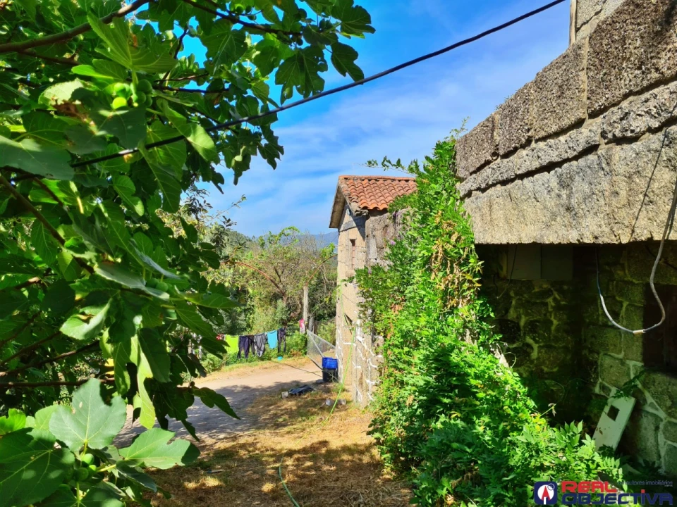 Moradia T3 para Venda em Prazins Santo Tirso e Corvite Foto 5