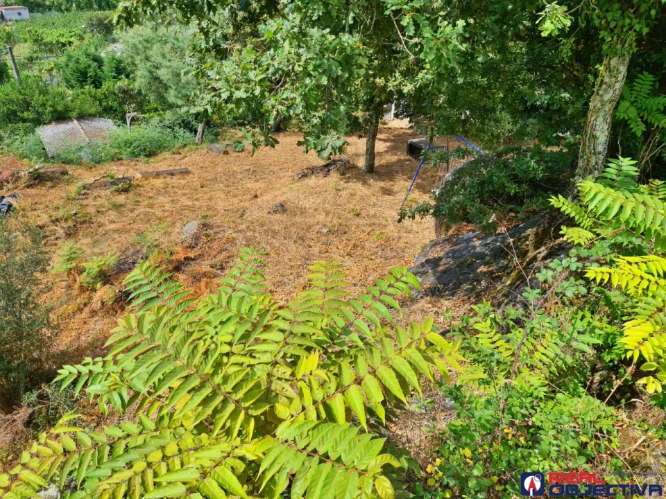 Moradia T3 para Venda em Prazins Santo Tirso e Corvite Foto 11