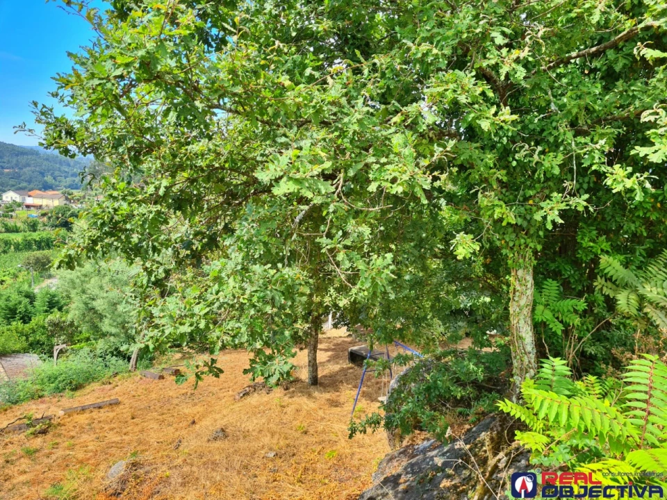 Moradia T3 para Venda em Prazins Santo Tirso e Corvite Foto 20