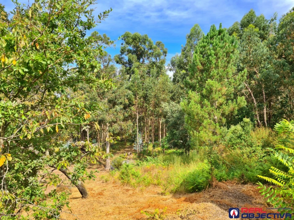 Moradia T3 para Venda em Prazins Santo Tirso e Corvite Foto 22