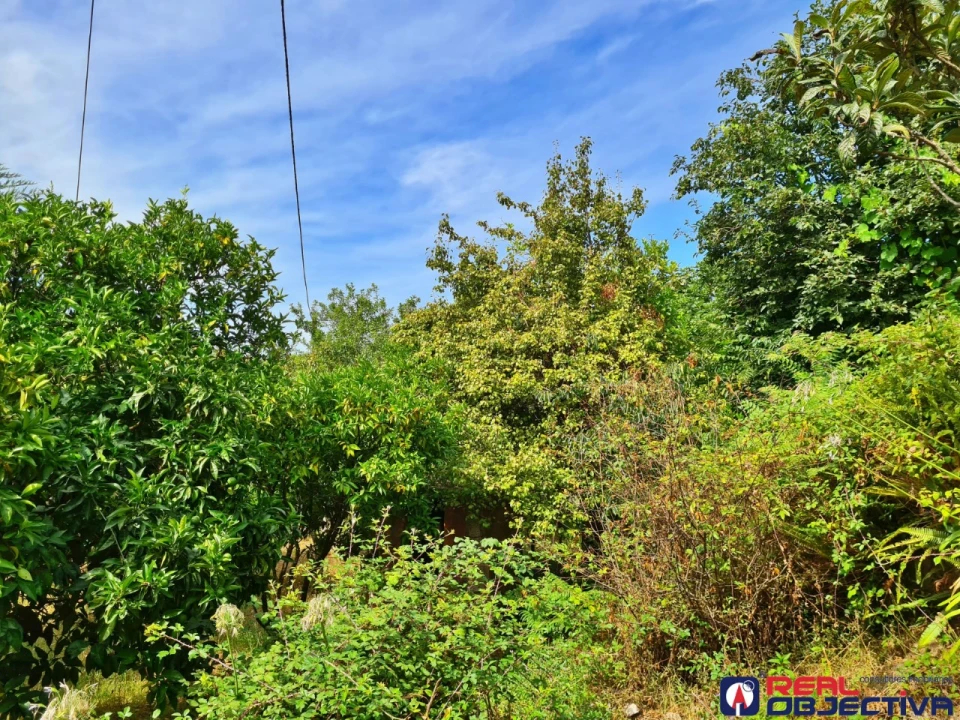 Moradia T3 para Venda em Prazins Santo Tirso e Corvite Foto 33