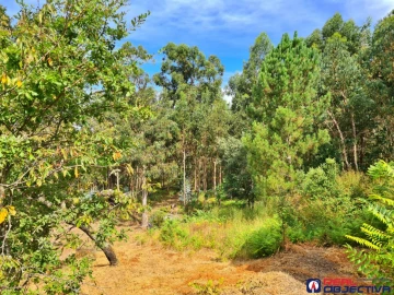 Moradia T3 para Venda em Prazins Santo Tirso e Corvite