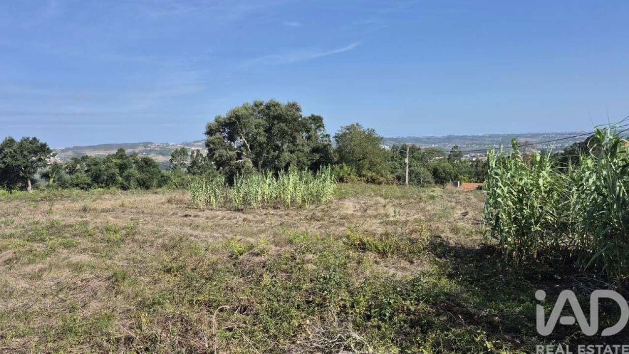 Terreno para Venda em Vimeiro Foto 4