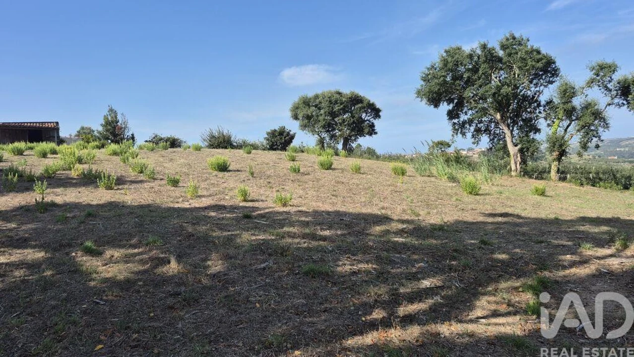 Terreno para Venda em Vimeiro Foto 1