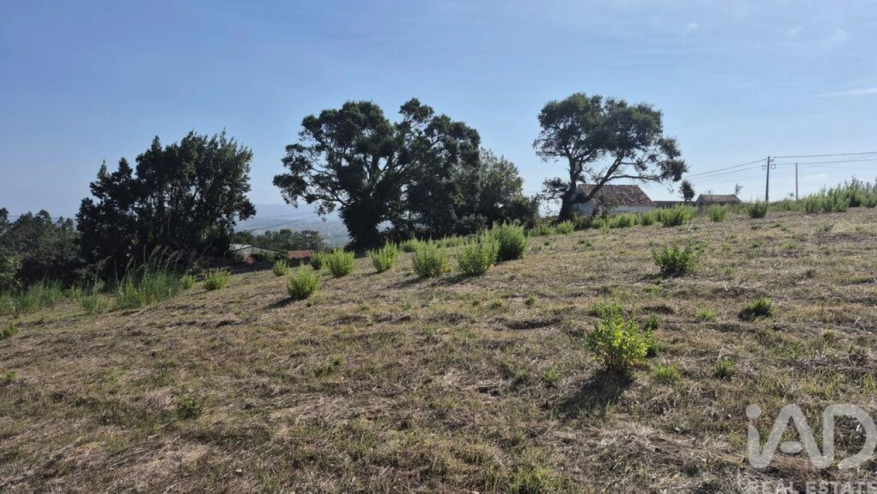 Terreno para Venda em Vimeiro Foto 9