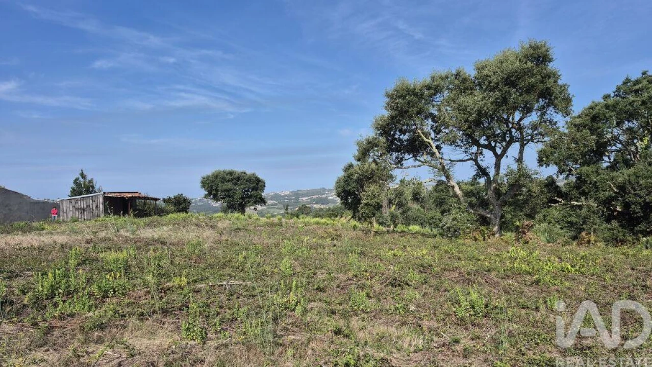 Terreno para Venda em Vimeiro Foto 19