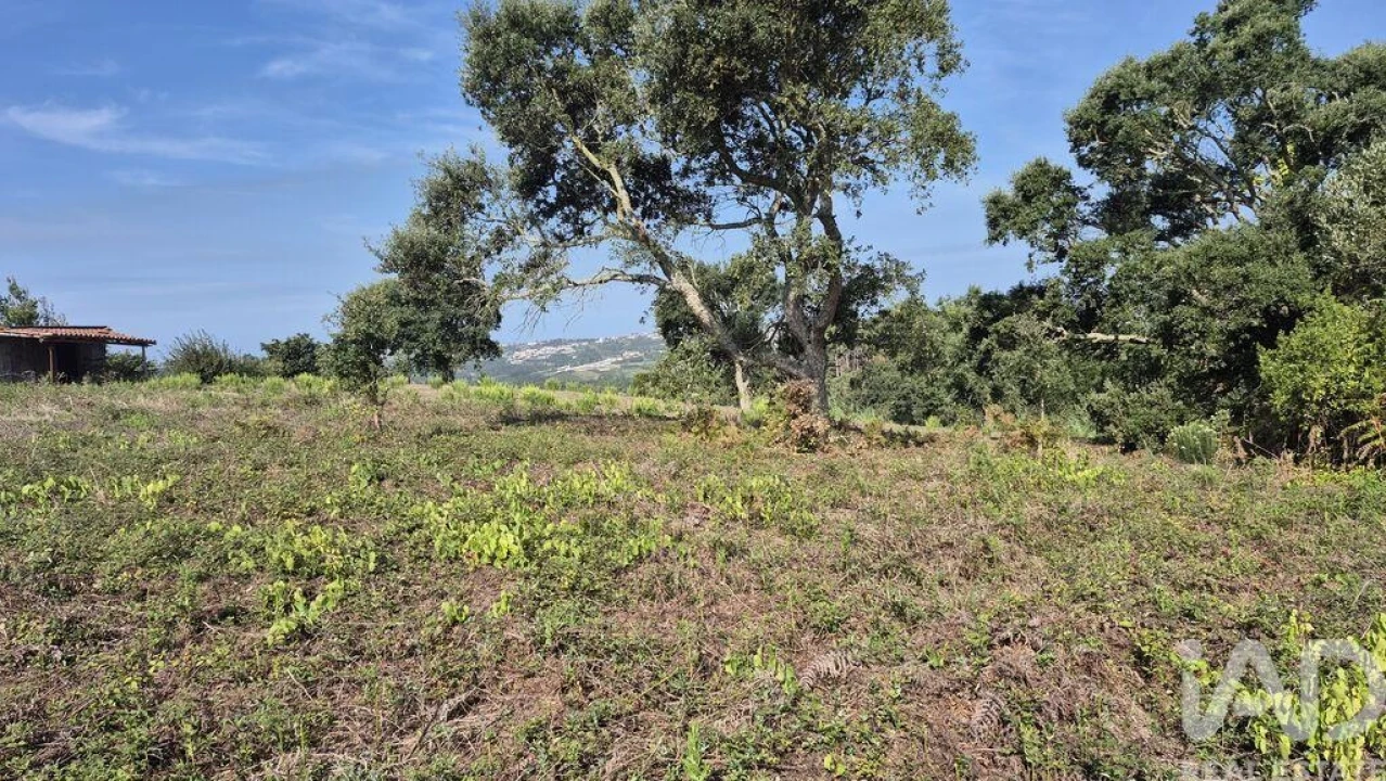 Terreno para Venda em Vimeiro Foto 18