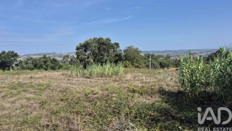 Terreno para Venda em Vimeiro