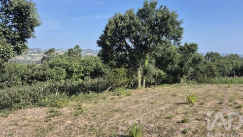 Terreno para Venda em Vimeiro