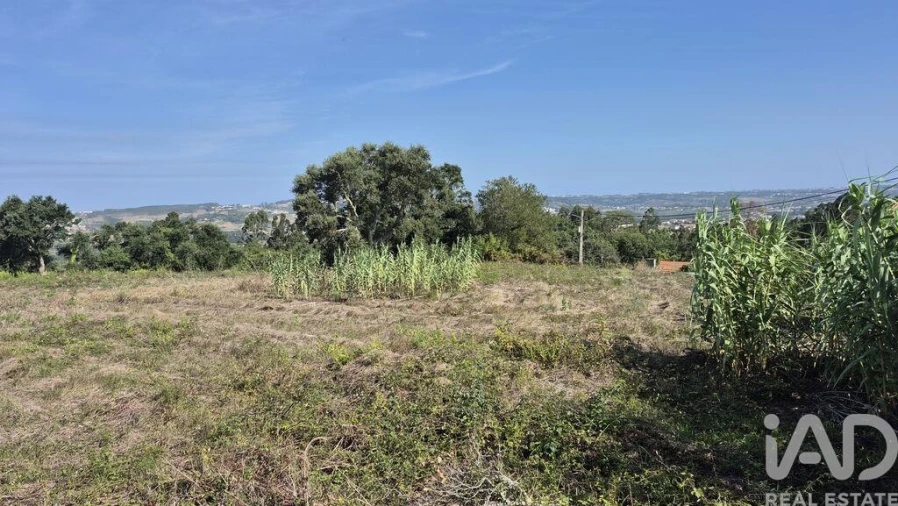 Terreno para Venda em Vimeiro Foto 4