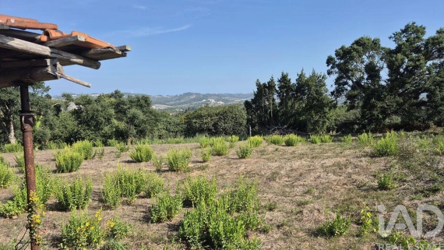 Terreno para Venda em Vimeiro Foto 6