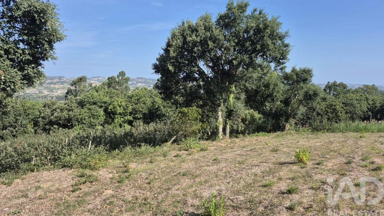 Terreno para Venda em Vimeiro Foto 8