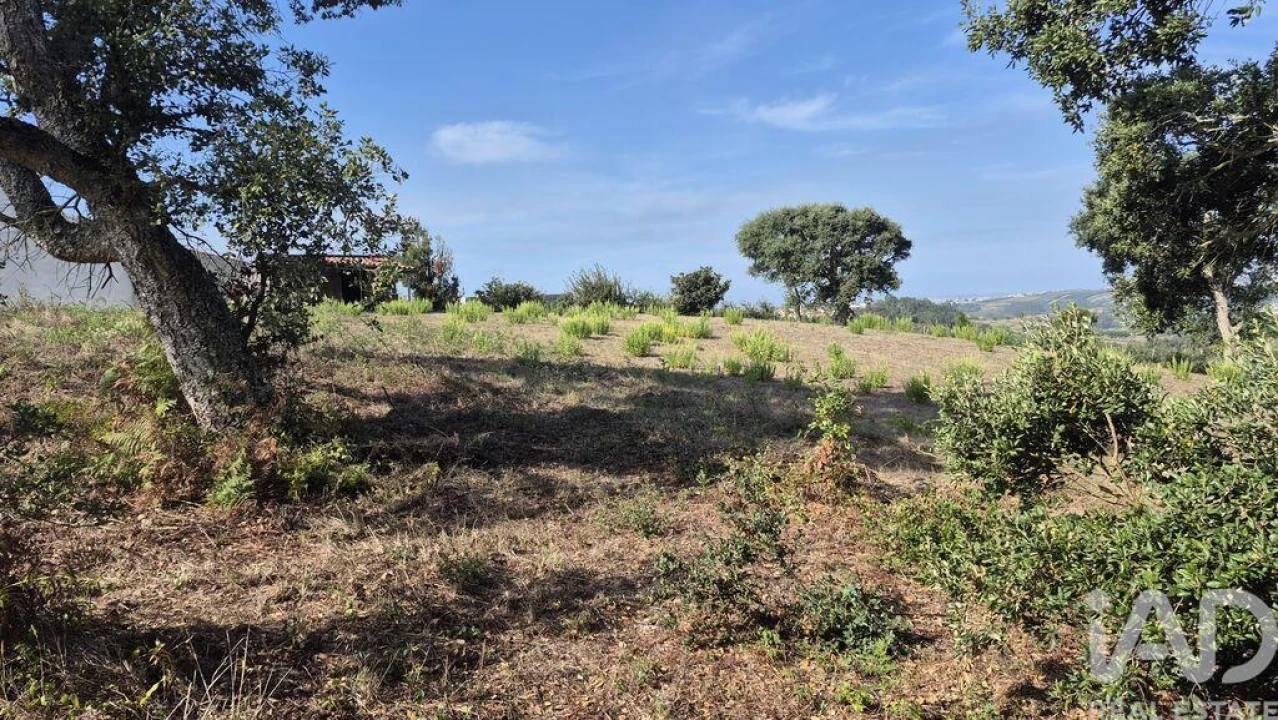 Terreno para Venda em Vimeiro Foto 16
