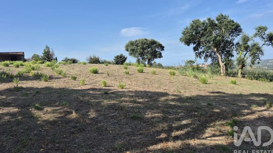 Terreno para Venda em Vimeiro