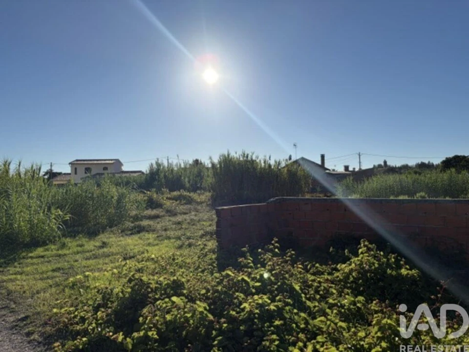 Terreno para Venda em Mira Foto 24