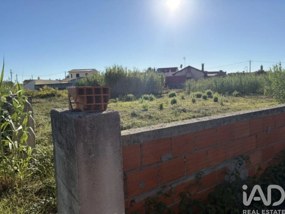 Terreno para Venda em Mira Foto 20