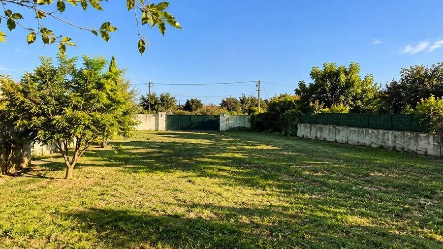 Terreno para Venda em Santa Maria e São Miguel, São Martinho, São Pedro Penaferrim