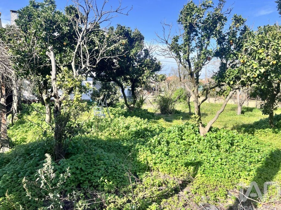 Moradia T3 para Venda em Fernao Ferro Foto 2