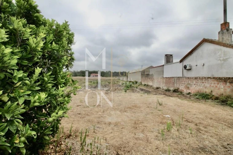 Apartamento T2 para Venda em Gafanha da Boa Hora Foto 15