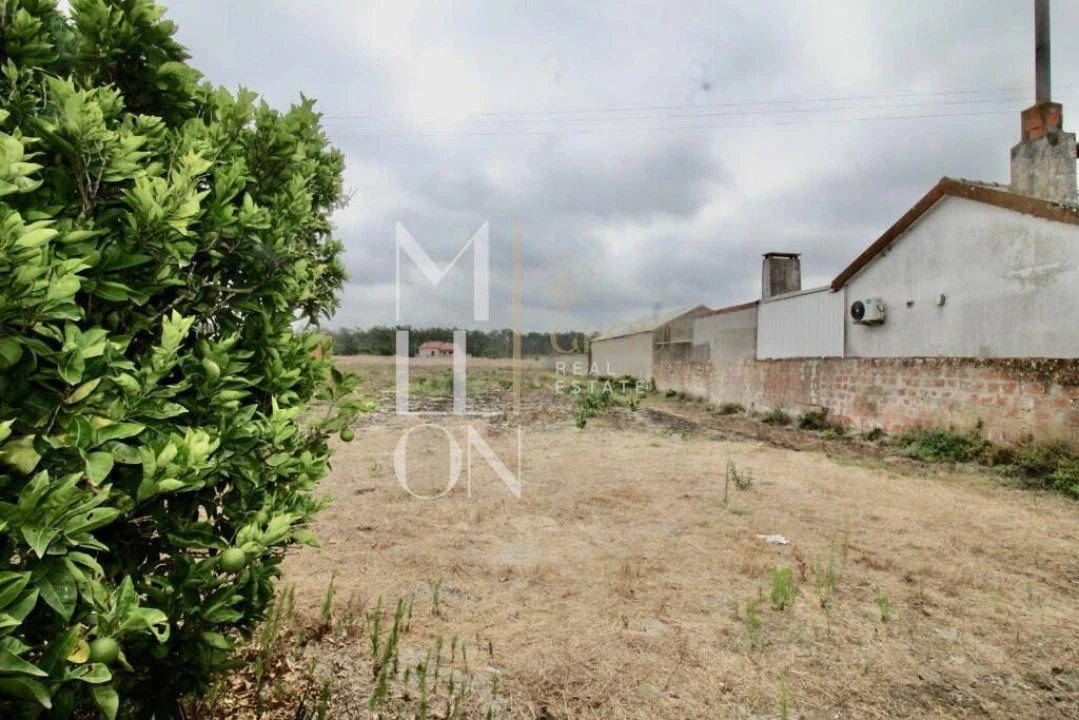 Apartamento T2 para Venda em Gafanha da Boa Hora Foto 15