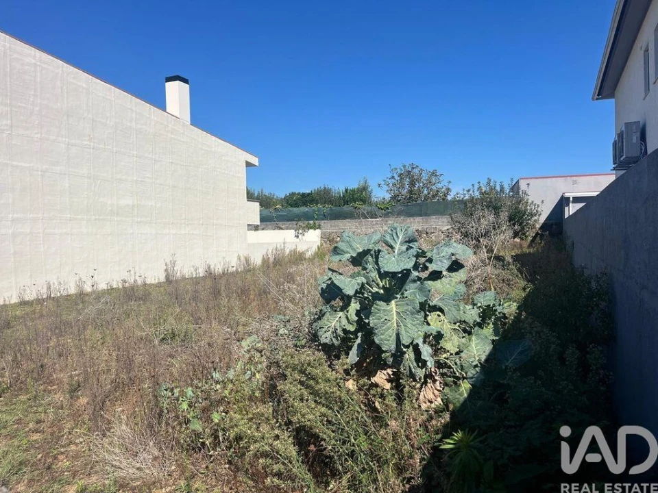 Terreno para Venda em Antas Foto 4