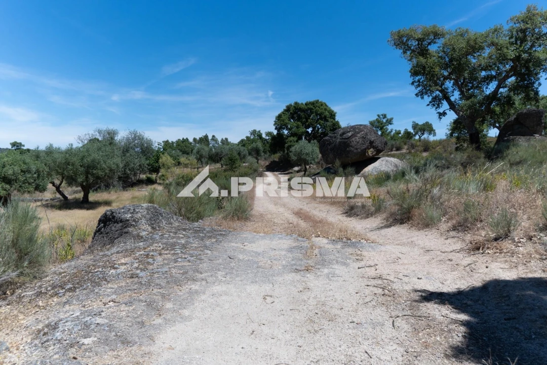 Quinta T3 para Venda em Castelo Branco Foto 59
