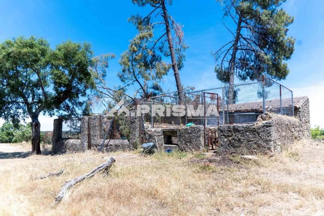 Quinta T3 para Venda em Castelo Branco Foto 54