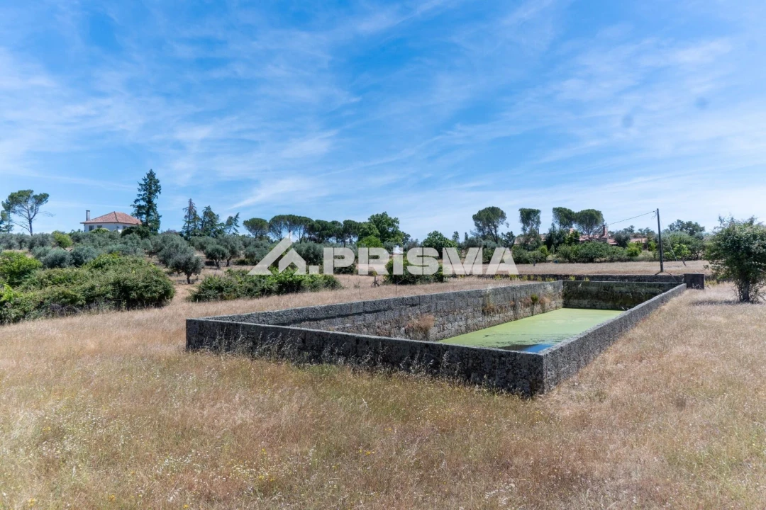 Quinta T3 para Venda em Castelo Branco Foto 6