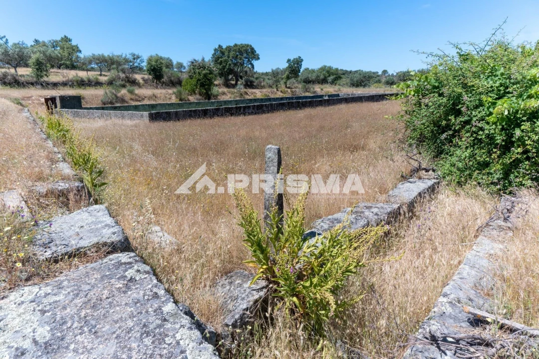 Quinta T3 para Venda em Castelo Branco Foto 5