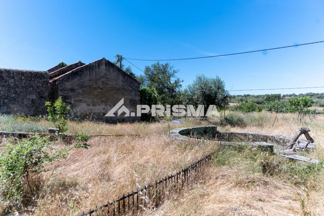 Quinta T3 para Venda em Castelo Branco Foto 8