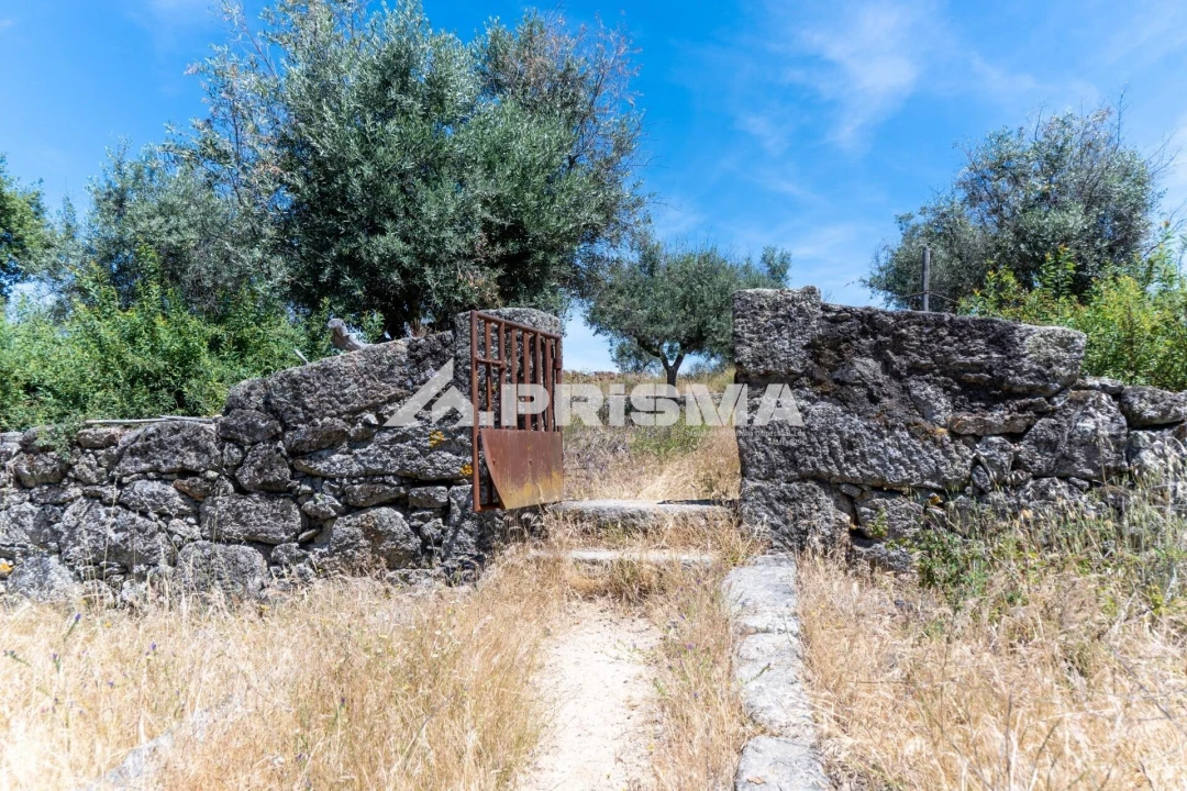 Quinta T3 para Venda em Castelo Branco Foto 15