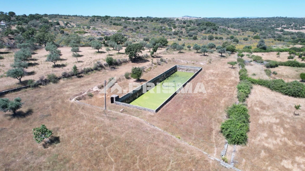 Quinta T3 para Venda em Castelo Branco Foto 7