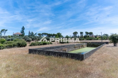 Quinta T3 para Venda em Castelo Branco