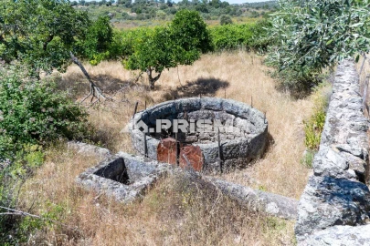 Quinta T3 para Venda em Castelo Branco