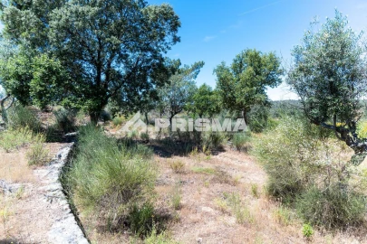 Quinta T3 para Venda em Castelo Branco