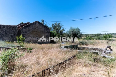 Quinta T3 para Venda em Castelo Branco