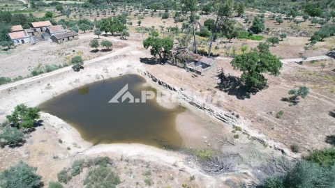 Quinta T3 para Venda em Castelo Branco