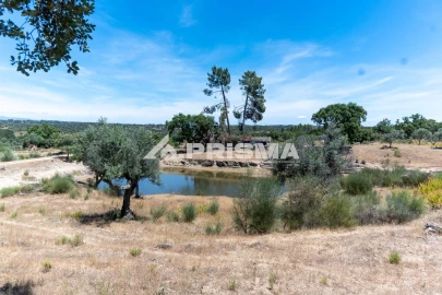 Quinta T3 para Venda em Castelo Branco