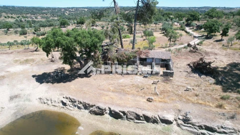 Quinta T3 para Venda em Castelo Branco